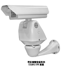 Pelco ES3012-2N 派爾高護(hù)罩云臺一體機(jī)